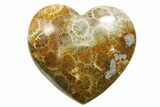 1.4" Fossil Coral Heart From Indonesia - Photo 2